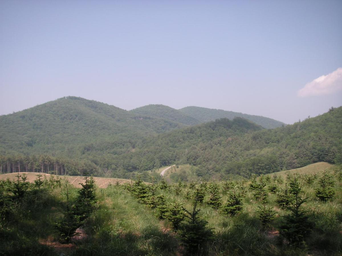 Arrowmont Stables & Cabins Cullowhee Dış mekan fotoğraf