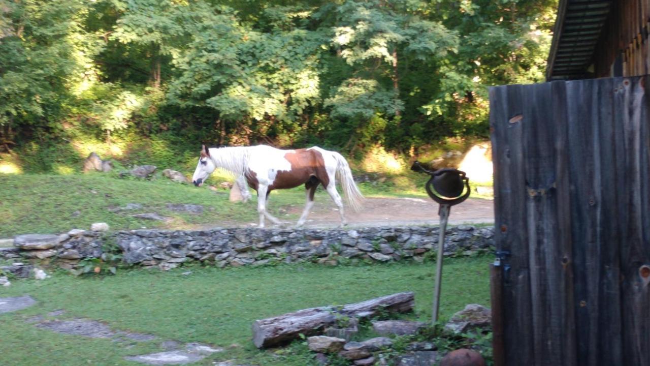 Arrowmont Stables & Cabins Cullowhee Dış mekan fotoğraf