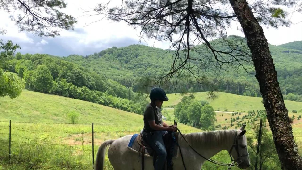 Arrowmont Stables & Cabins Cullowhee Dış mekan fotoğraf