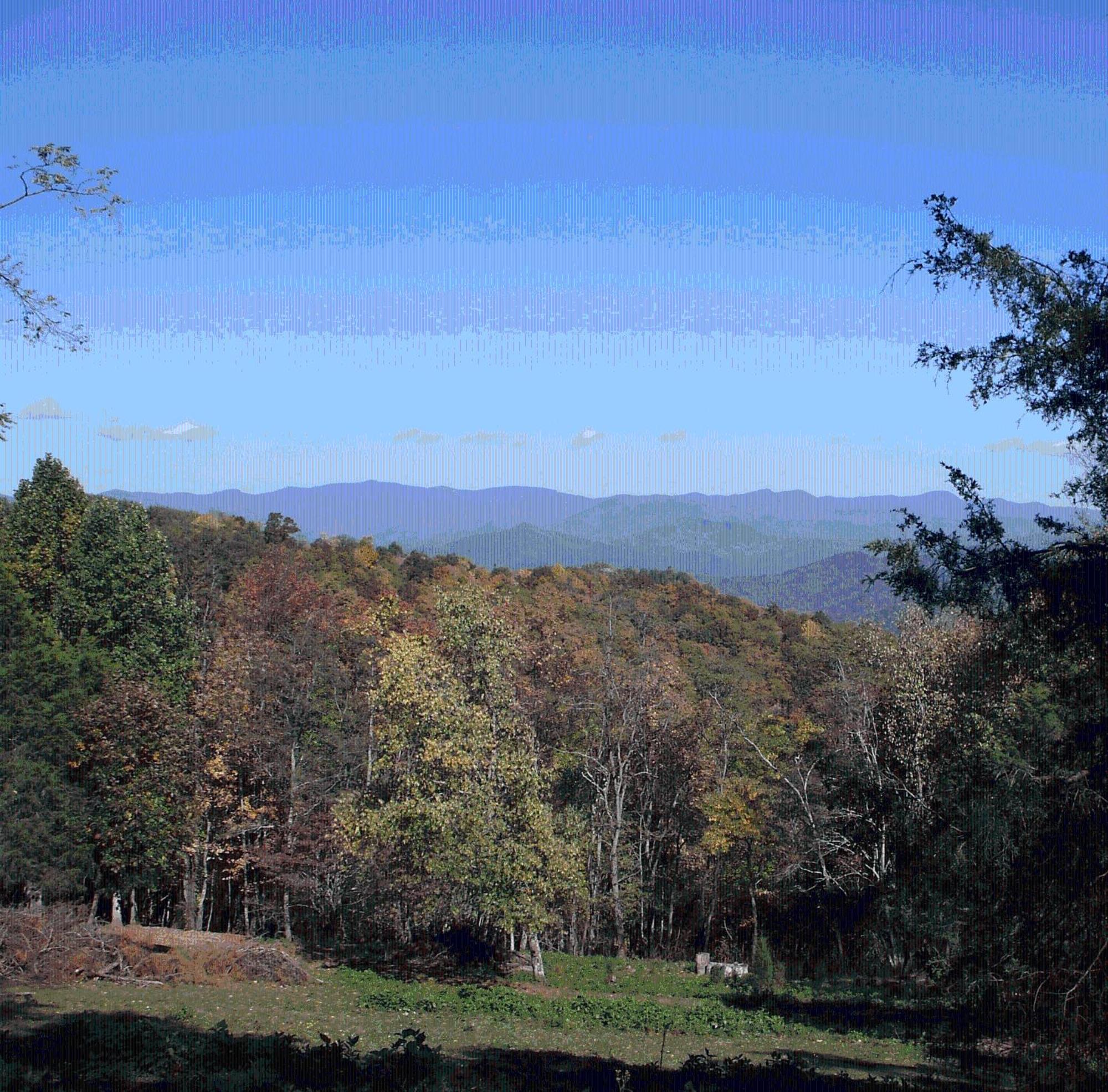 Arrowmont Stables & Cabins Cullowhee Dış mekan fotoğraf
