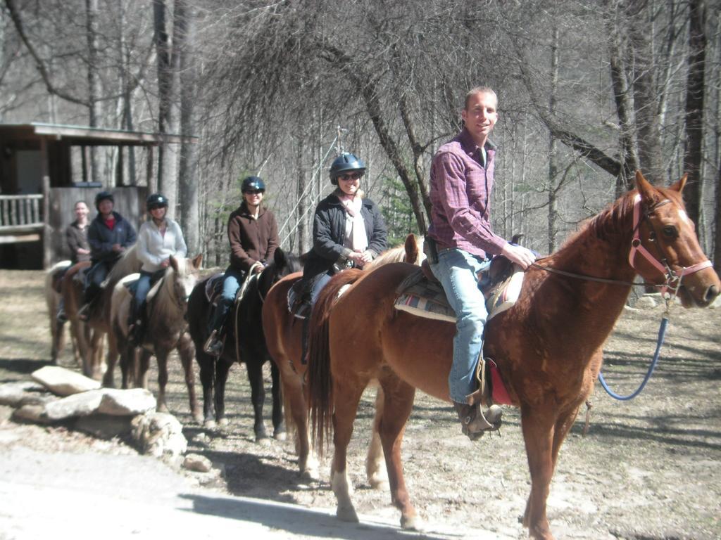 Arrowmont Stables & Cabins Cullowhee Dış mekan fotoğraf