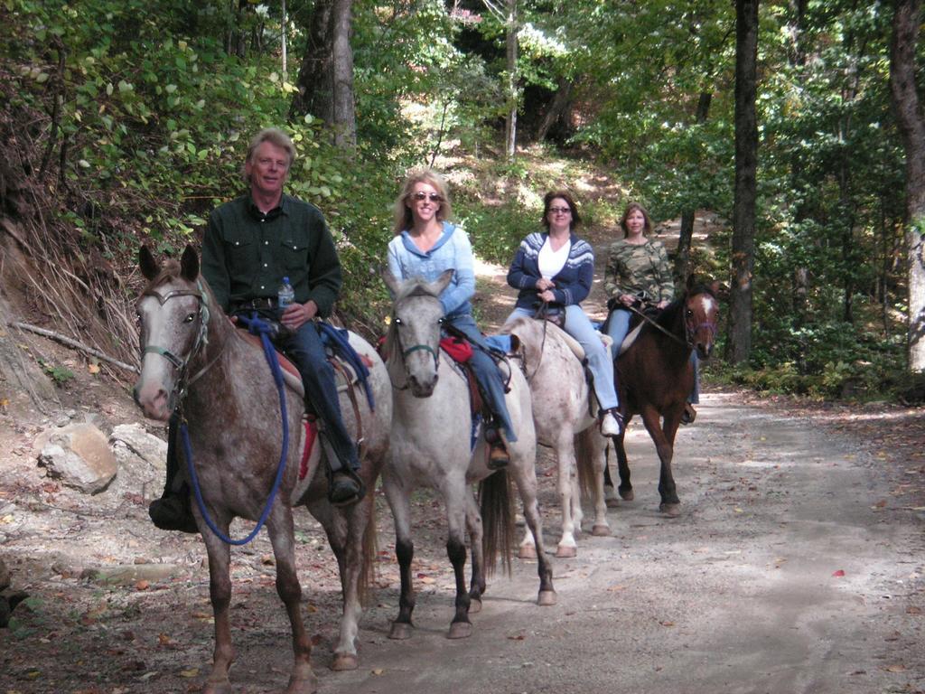 Arrowmont Stables & Cabins Cullowhee Dış mekan fotoğraf