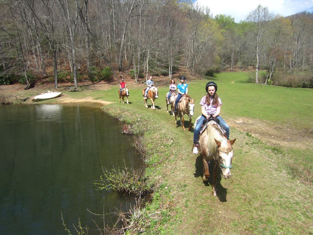 Arrowmont Stables & Cabins Cullowhee Dış mekan fotoğraf
