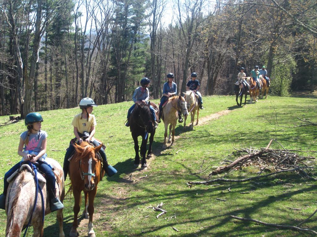 Arrowmont Stables & Cabins Cullowhee Dış mekan fotoğraf