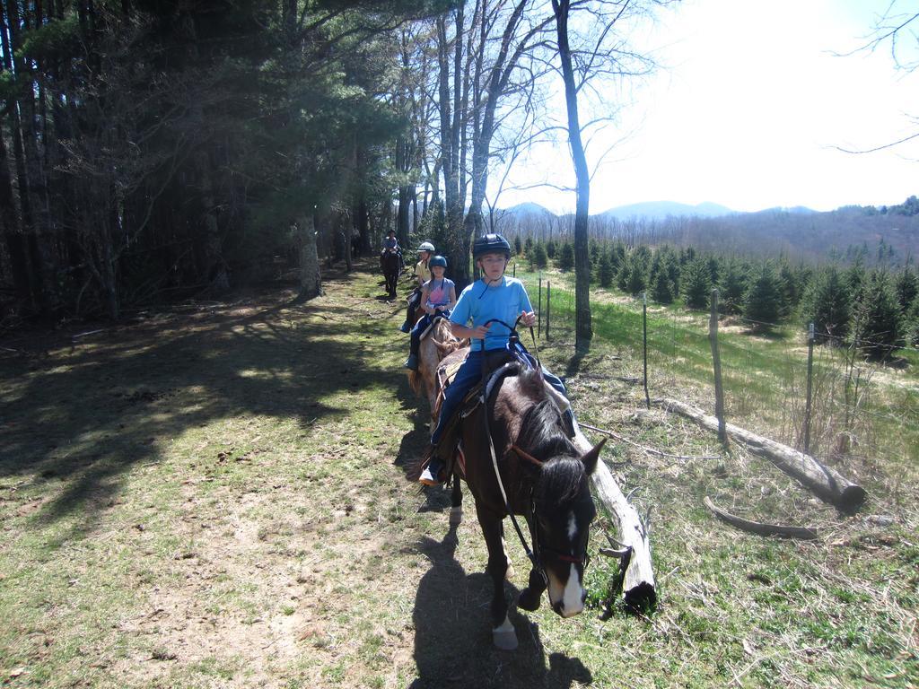 Arrowmont Stables & Cabins Cullowhee Dış mekan fotoğraf